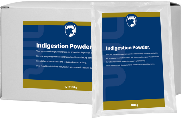 Excellent Indigestion Powder 10 x 100 g