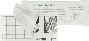 Geo Glue Pad Pantry Moth