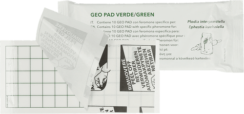 Geo Glue Pad Pantry Moth