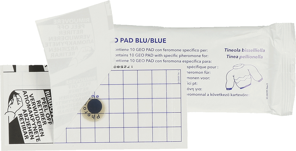 Geo Glue Pad Clothes Moth