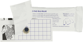 Geo Glue Pad Clothes Moth