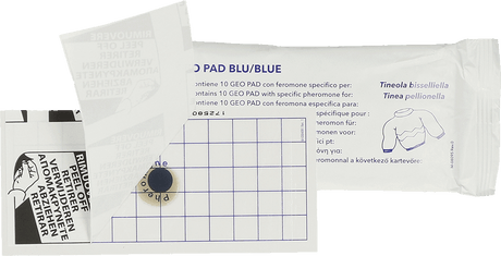 Geo Glue Pad Clothes Moth