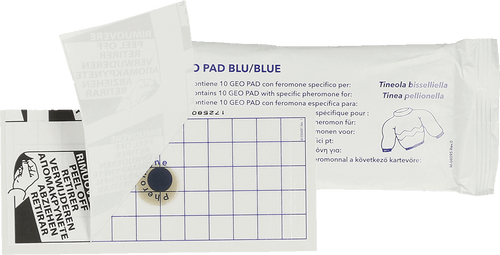 Geo Glue Pad Clothes Moth