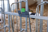 Kerbl Calf Bucket Holder with Bucket Guard