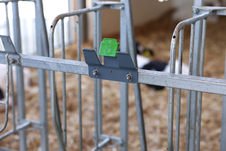 Kerbl Calf Bucket Holder with Bucket Guard