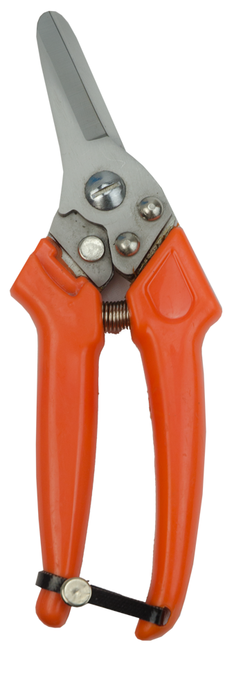 Sheep Foot Trimmer (Dutch model)