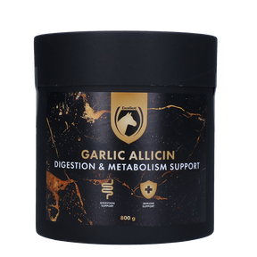 Excellent Horse Garlic Allicin Powder 800 g