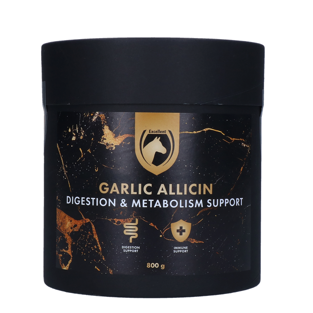 Excellent Horse Garlic Allicin Powder 800 g