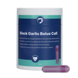 Excellent Black Garlic Bolus Calf