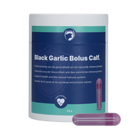 Excellent Black Garlic Bolus Calf