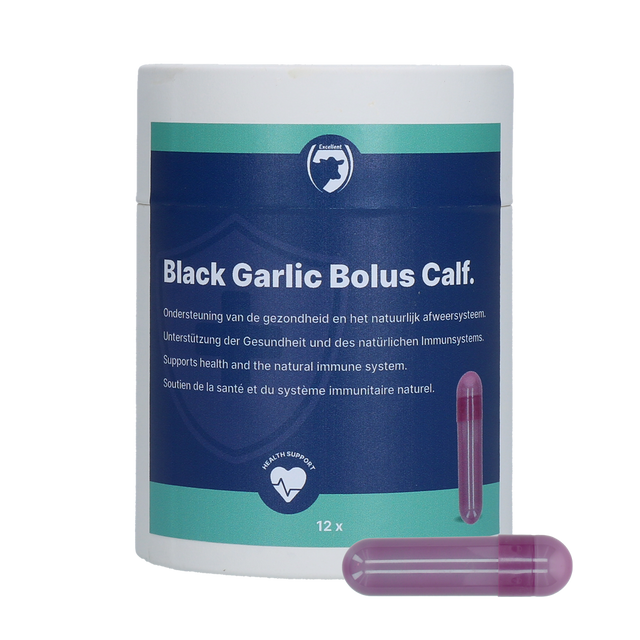 Excellent Black Garlic Bolus Calf