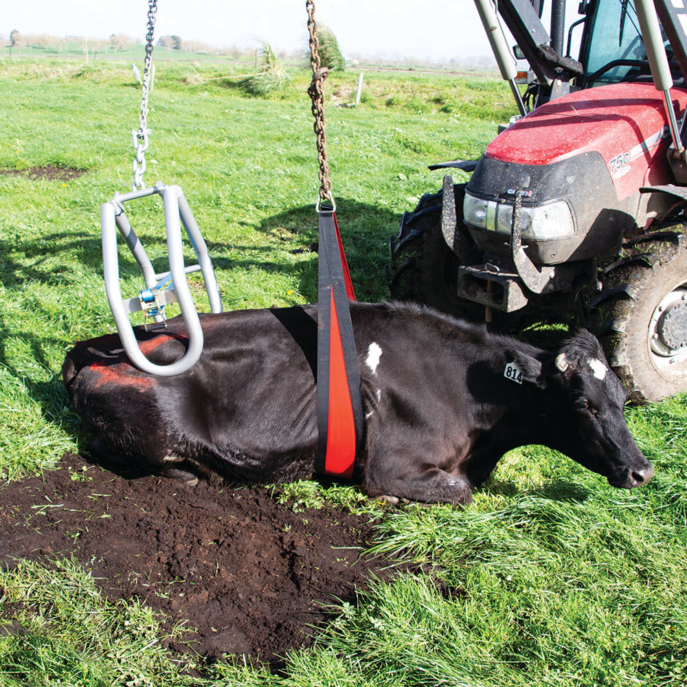 Cow Lifter Belly Strap Front Lift 2.4 meter