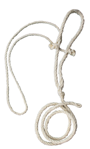 Cow rope halter + thin head rope