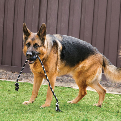 KONG Extreme Ball with Rope L
