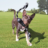 KONG Extreme Dental with rope M