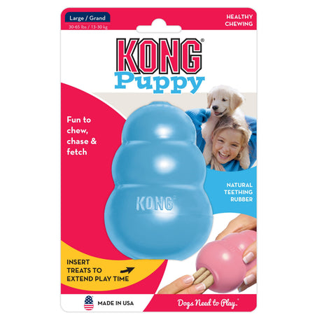 KONG Puppy Assorti