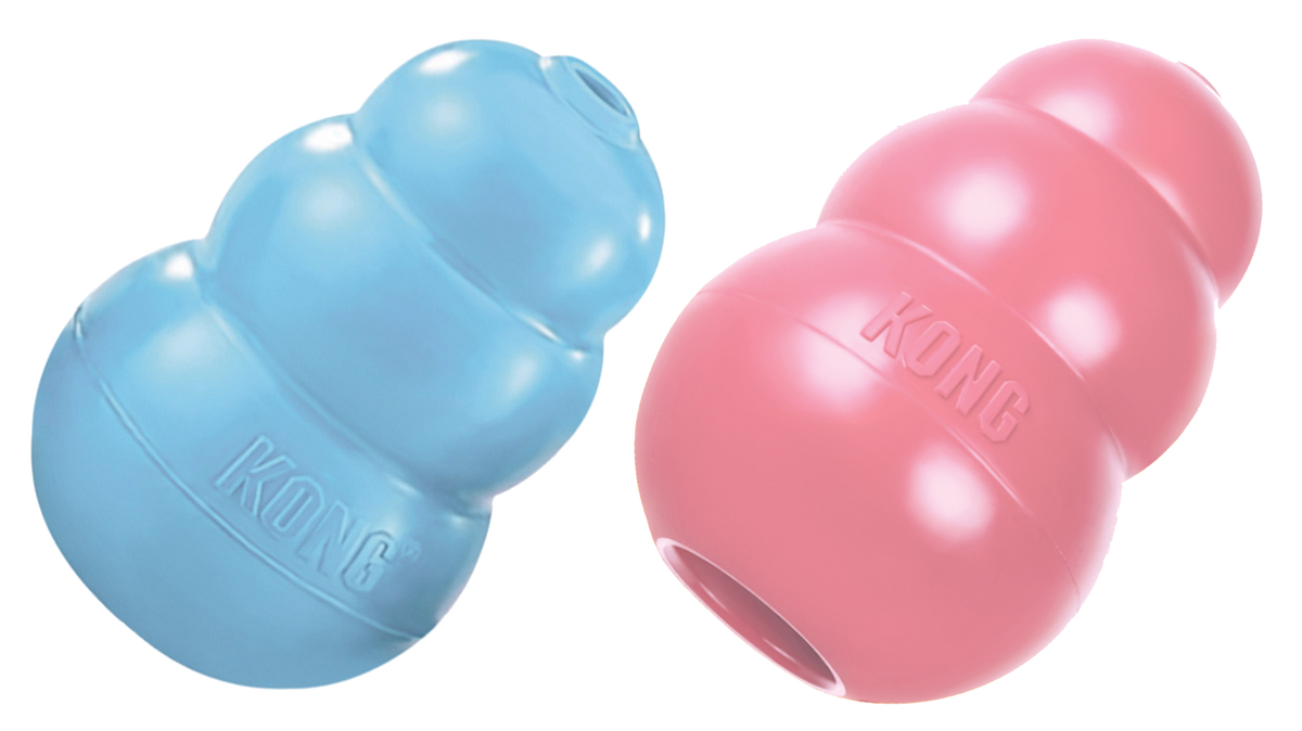 KONG Puppy Assorti