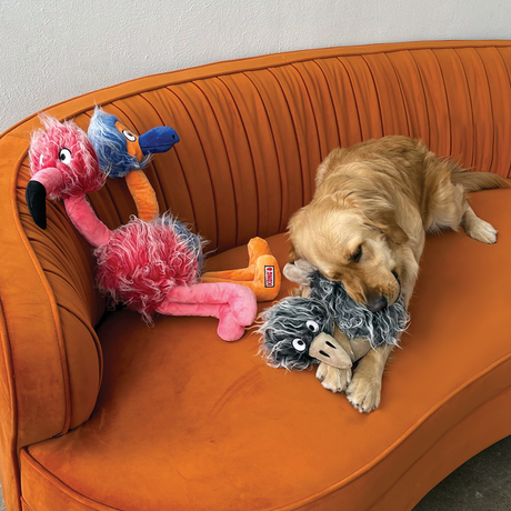 KONG Comfort Jumbo Birds Assorted