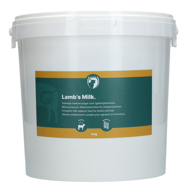 Excellent Lamb Milk