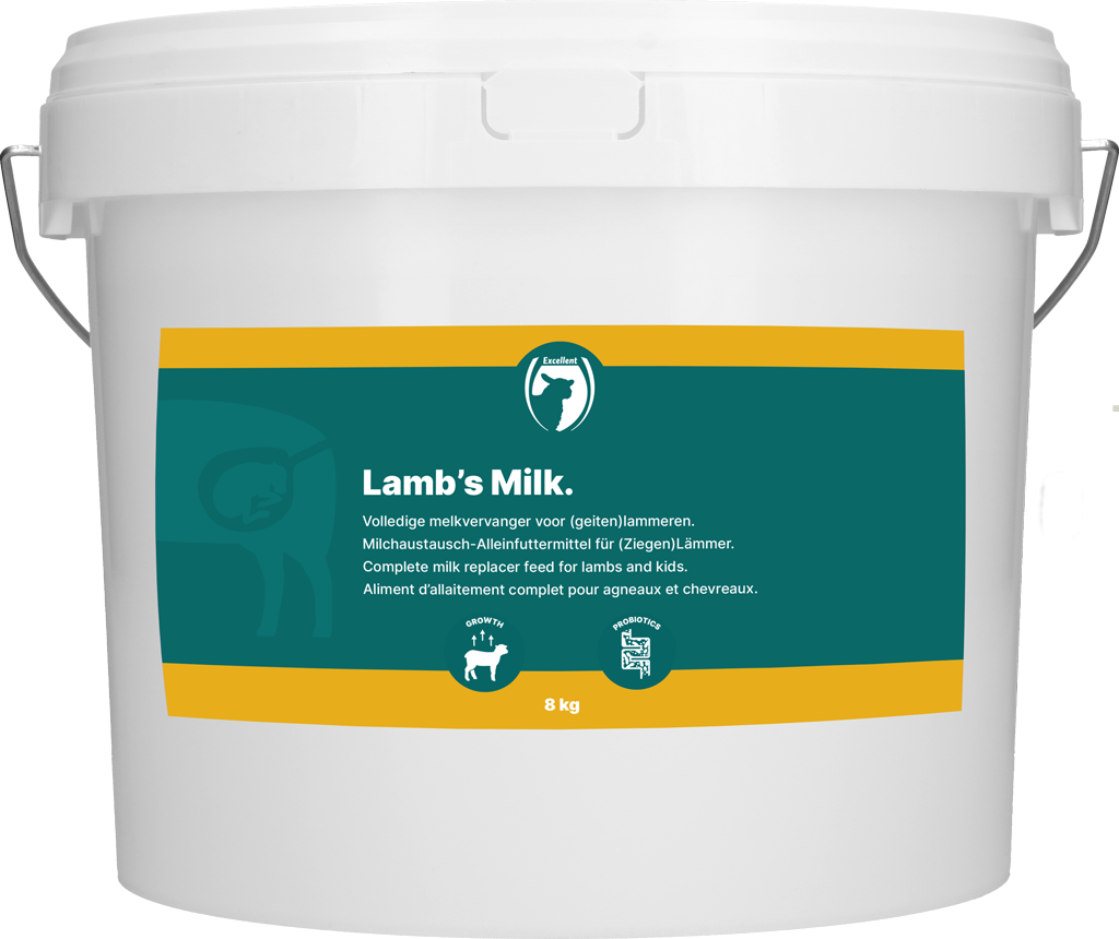Excellent Lamb Milk