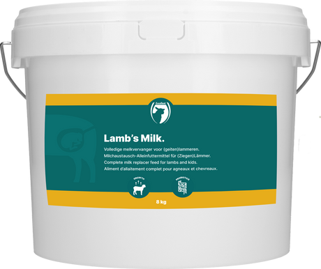 Excellent Lamb Milk