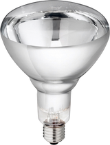 Hard Glass Lamp