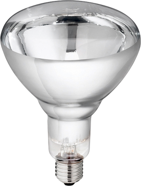 Hard Glass Lamp