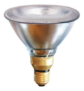 Energy Saving Lamp