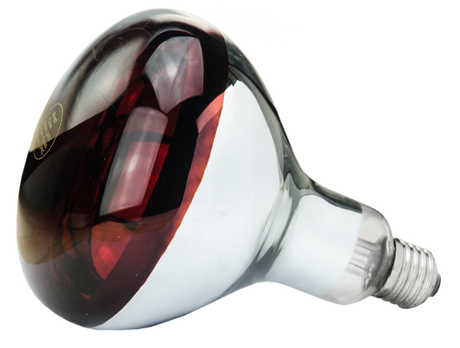 Hard Glass Lamp