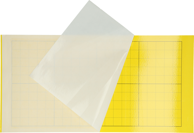 Insectron Glue Plate 200/300 6 pieces