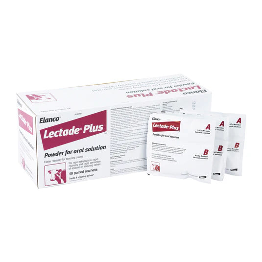 Lectade Plus