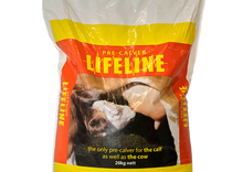 Lifeline Pre-calver Powder Mineral 20 kg