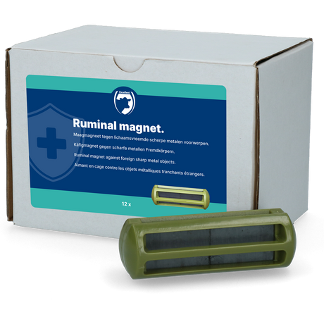 Excellent Ruminal Magnet