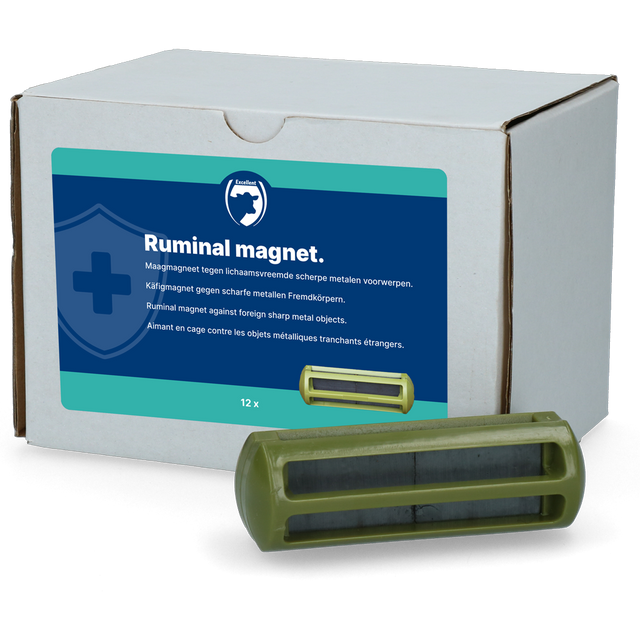 Excellent Ruminal Magnet