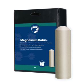 Excellent Magnesium Bolus