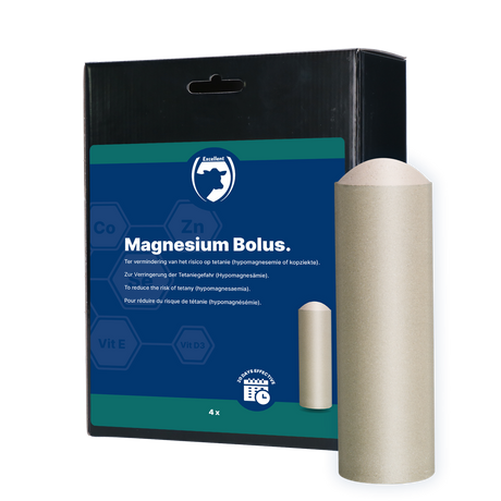 Excellent Magnesium Bolus