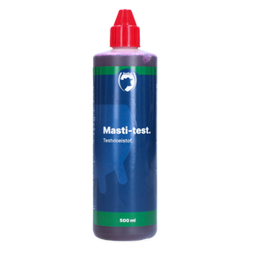 Excellent Masti-Test