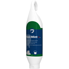 Excellent Maxi Mint+