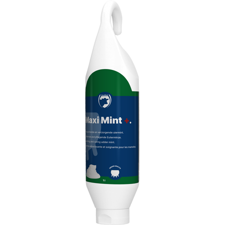 Excellent Maxi Mint+