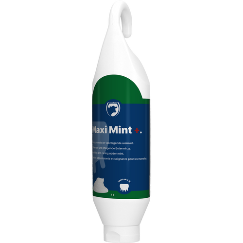 Excellent Maxi Mint+