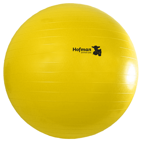 Maximus Power Play Ball