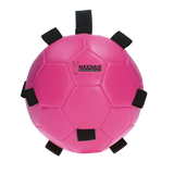 Excellent Horse Fun Play Ball