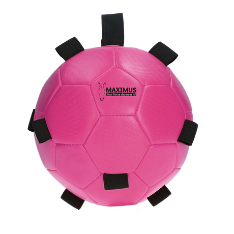 Excellent Horse Fun Play Ball