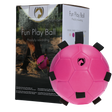 Excellent Horse Fun Play Ball