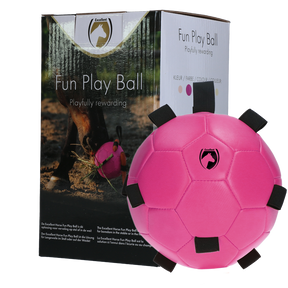 Excellent Horse Fun Play Ball