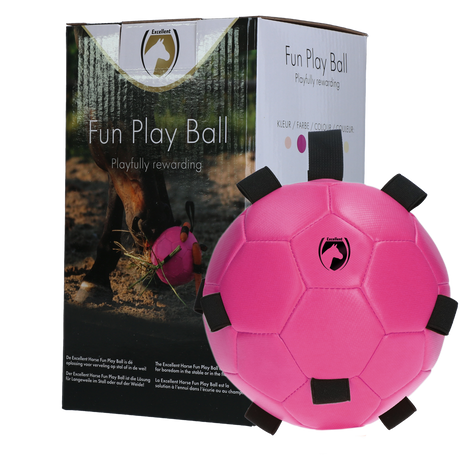 Excellent Horse Fun Play Ball