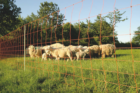 Euro-Netz 90 cm single spike