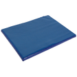 Disinfection mat 55x45x3 cm