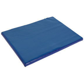 Disinfection mat 55x45x3 cm