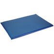 Disinfection mat 85x60x3.5 cm